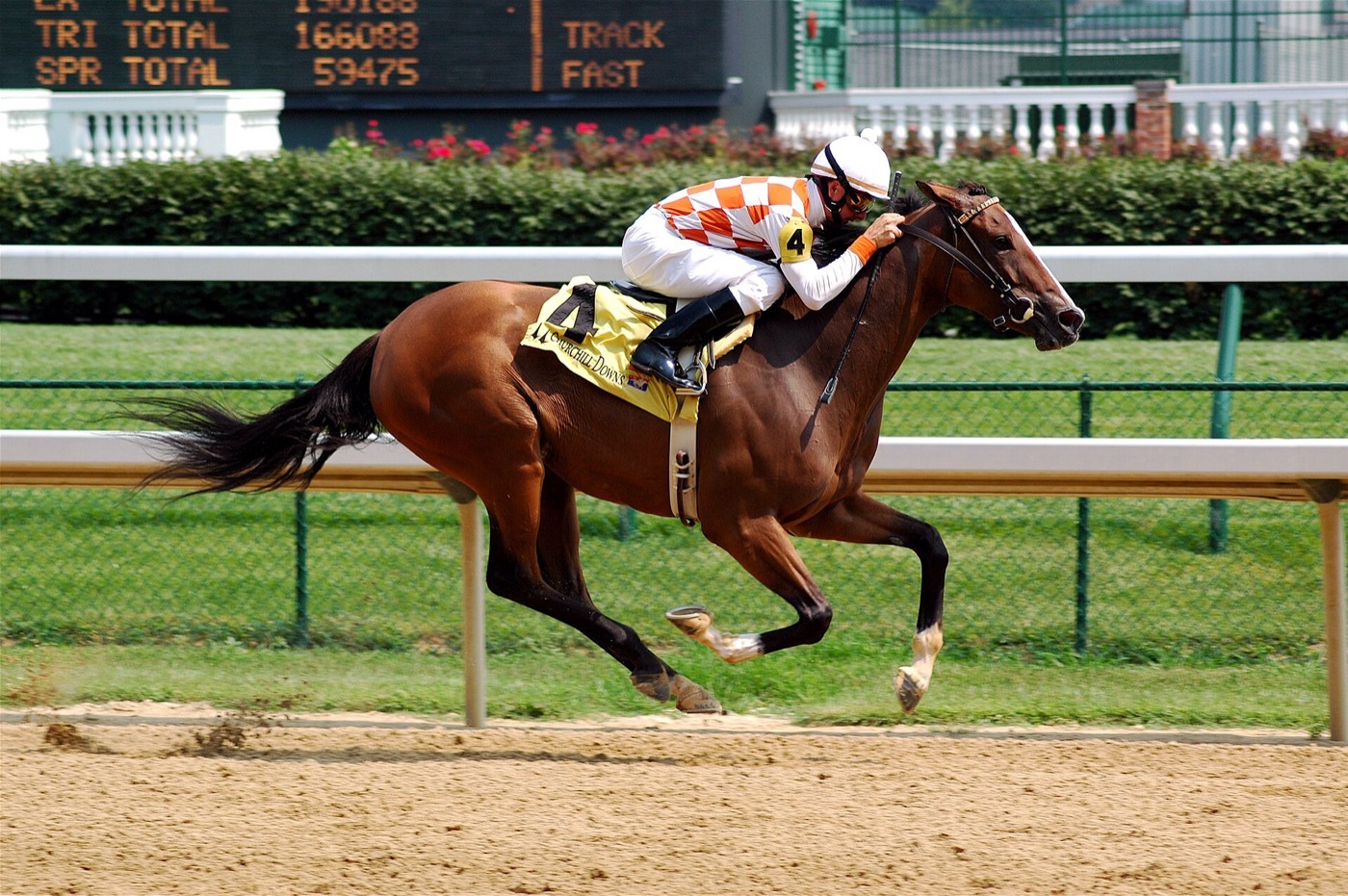 Thoroughbred racing in Kentucky